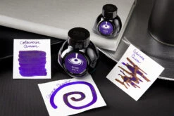 Colorverse Quasar - 65ml + 15ml Bottled Ink -Writing Tools Store Colorverse Quasar InkReview 1