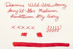 Diamine Wild Strawberry - 80ml Bottled Ink -Writing Tools Store Diamine InkReview WildStrawberry Leuchtturm 80g 1 2b9fccec 7091 46cc b95c 73b021daff24