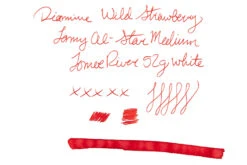 Diamine Wild Strawberry - 80ml Bottled Ink -Writing Tools Store Diamine InkReview WildStrawberry TomoeRiver 52g 1 0496ff9c 7eef 4b01 9151 02a31f8116e0