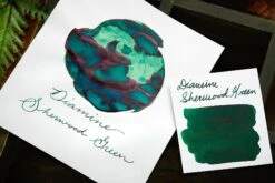 Diamine Sherwood Green - 30ml Bottled Ink -Writing Tools Store Diamine Sherwood Green 3