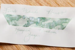 Ferris Wheel Press Hampton Harbour Sage - 38ml Bottled Ink -Writing Tools Store FerrisWheelPress HamptonHarbourSage InkReview 3