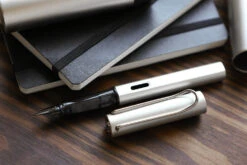 LAMY Lx Fountain Pen - Palladium -Writing Tools Store Lamy LX Palladium NW 19