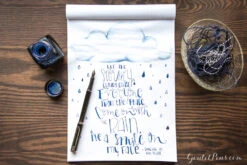 Platinum Blue-Black - 60ml Bottled Ink -Writing Tools Store MondayMatchup PlatinumBlueBlack MonteverdeLimonada 1