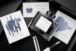 Pilot Iroshizuku Fuyu-syogun - Ink Cartridges -Writing Tools Store Pilot InkReview Iroshizuku Fuyu Syogun 2