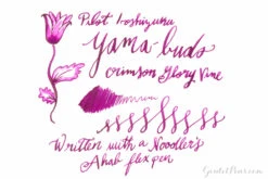 Pilot Iroshizuku Yama-budo - 50ml Bottled Ink 21 Pilot Iroshizuku Yama-budo - 50ml Bottled Ink -Writing Tools Store Pilot Iroshizuku Yama Budo fd3c97ca 37cb 4880 9850 90315f1f7ffc