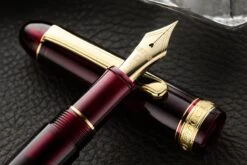 Platinum #3776 Century Fountain Pen - Bourgogne/Gold -Writing Tools Store Platinum 3776 Century Bourgogne Gold 4