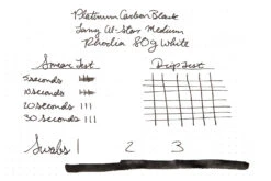 Platinum Carbon Black - 60ml Bottled Ink -Writing Tools Store Platinum CarbonBlack InkReview Rhodia 80g 1 cf4ac017 c5b3 4025 aa75 6f31211b0855