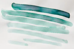 Sailor Ink Studio 162 - 20ml Bottled Ink 22 Sailor Ink Studio 162 - 20ml Bottled Ink -Writing Tools Store Sailor InkStudio 162 InkReview 4