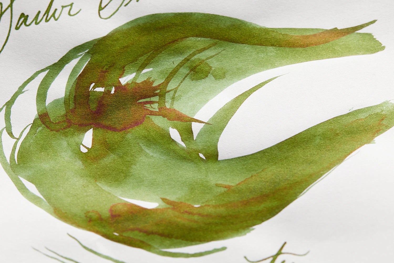 Sailor Shikiori Tokiwa-matsu - 20ml Bottled Ink 6 Sailor Shikiori Tokiwa-matsu - 20ml Bottled Ink - Image 6