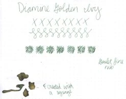 Diamine Golden Ivy - 50ml Bottled Ink -Writing Tools Store WS Diamine GoldenIvy